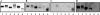FIG. 9.