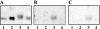 FIG. 8.