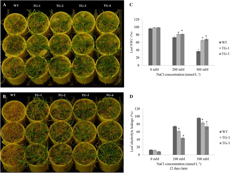 Figure 4.