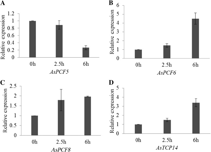 Figure 11.