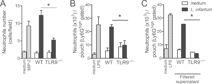 FIG 6