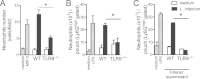 FIG 6