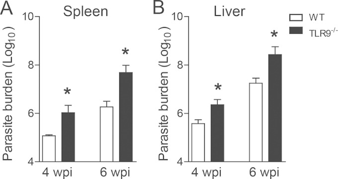 FIG 2