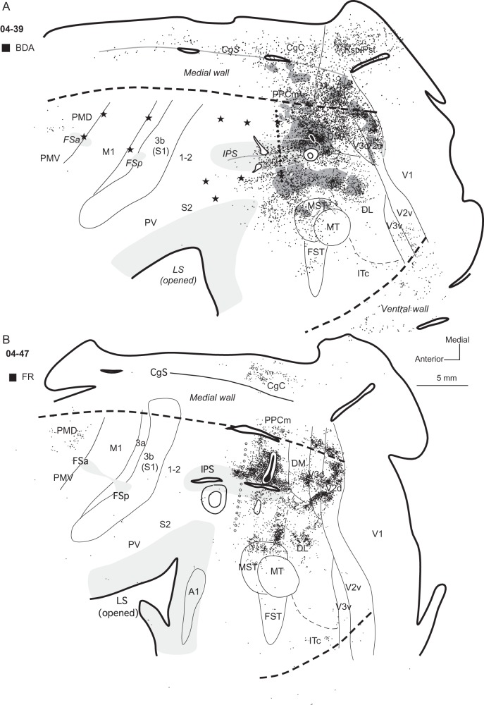 Figure 4.