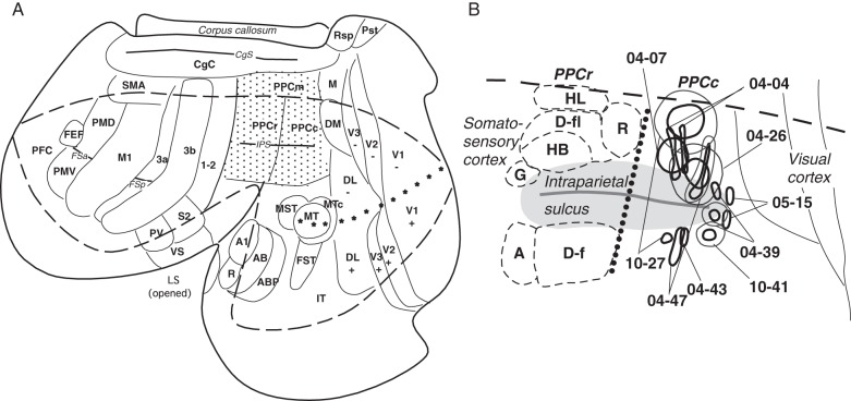 Figure 1.