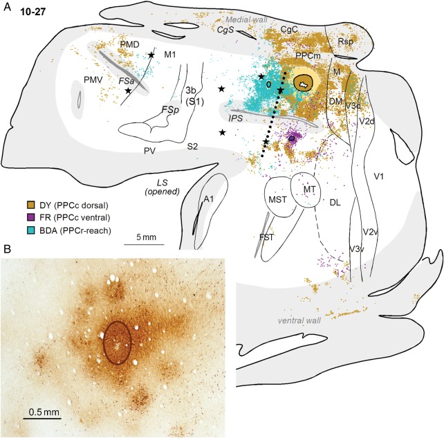 Figure 11.