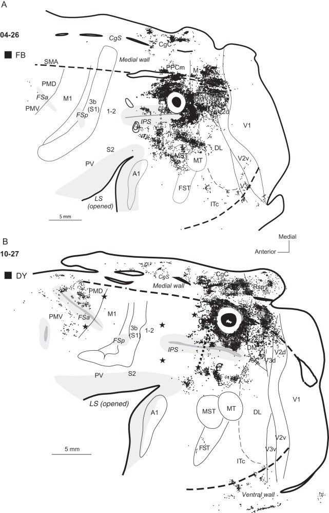 Figure 5.