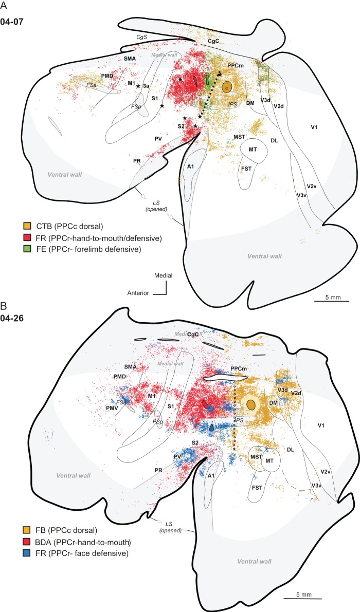 Figure 10.