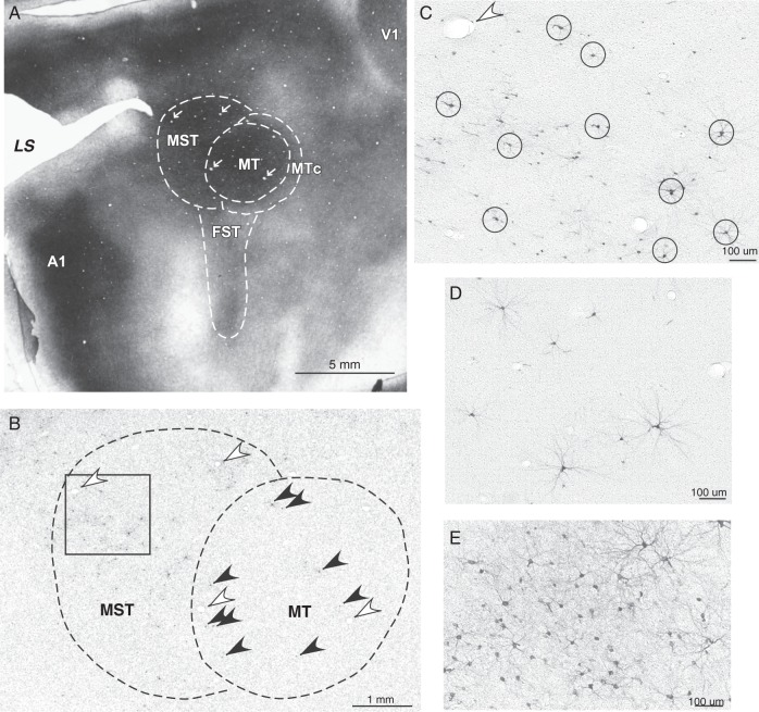 Figure 2.