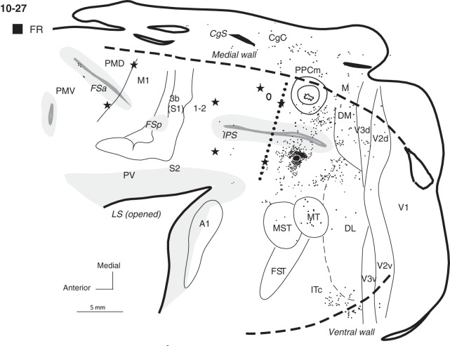 Figure 8.