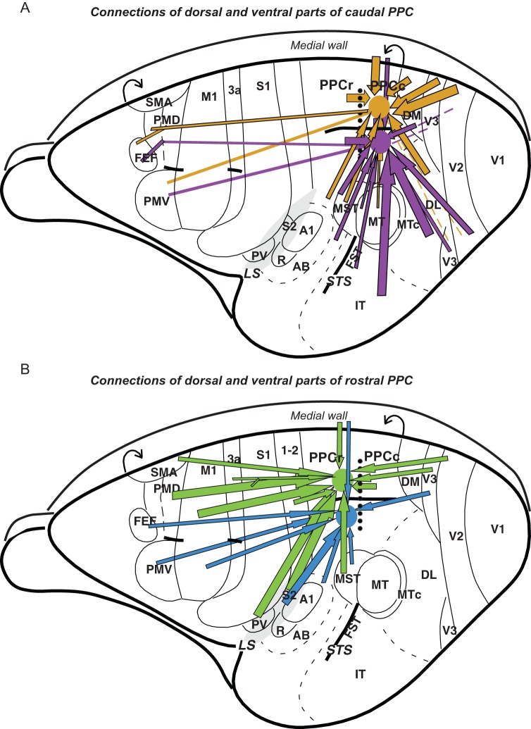 Figure 12.