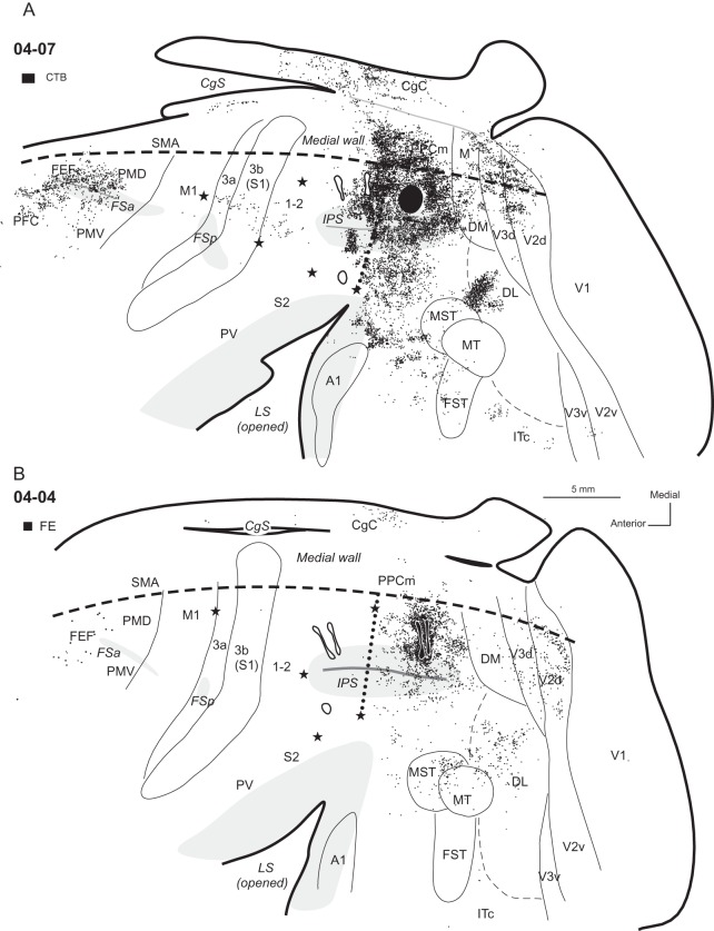 Figure 3.