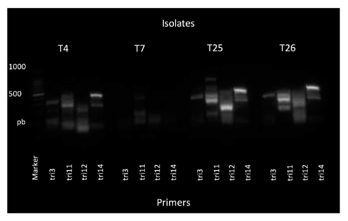 Figure 4