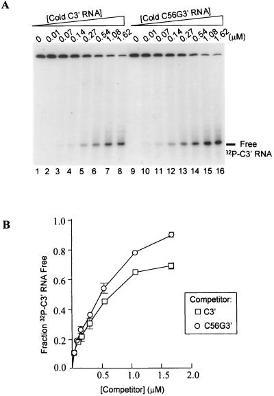 FIG. 5