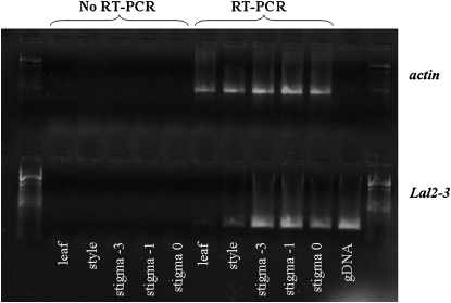 Figure 6.—