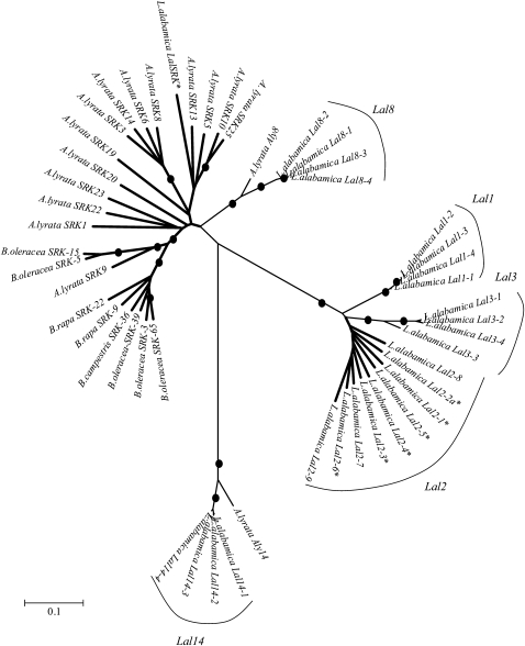 Figure 2.—