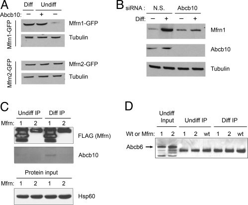 Fig. 3.