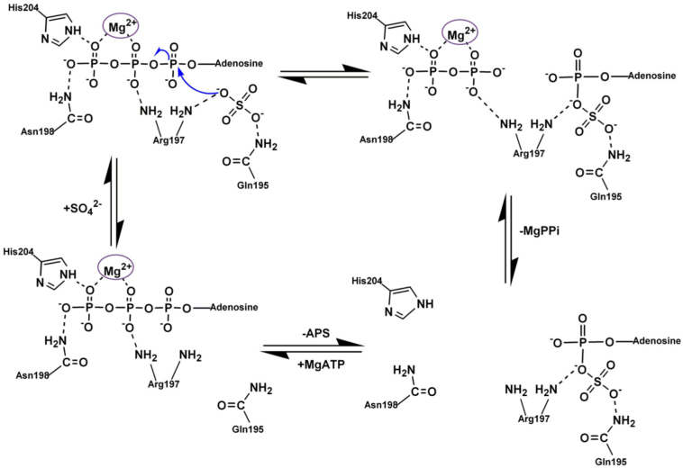 Fig. 3