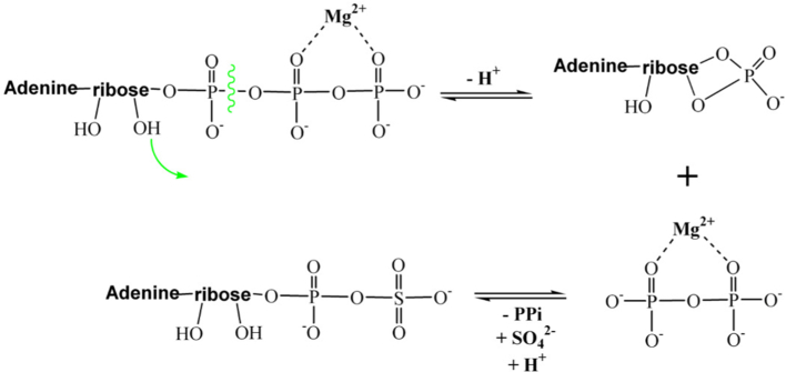 Fig. 4