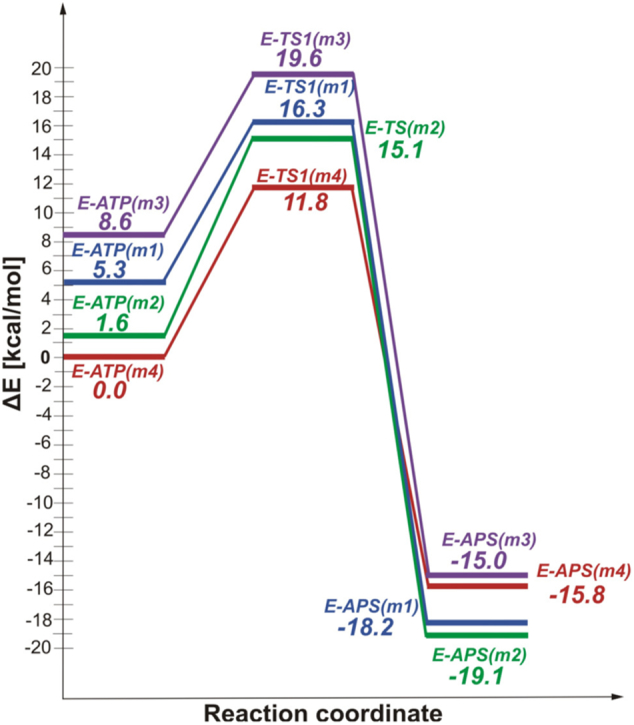 Fig. 14