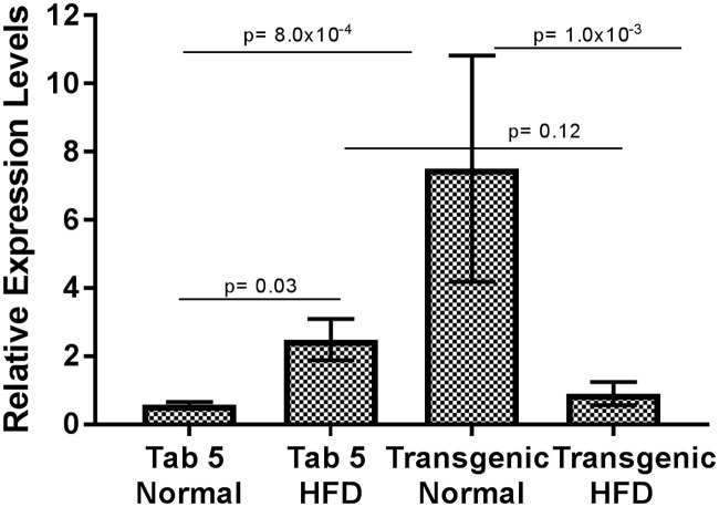 Fig 7