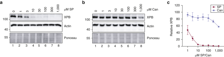 Figure 2