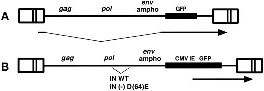 FIG. 2.