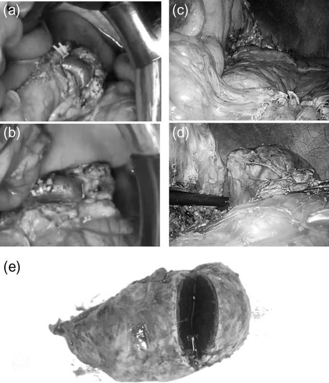 Figure 4: