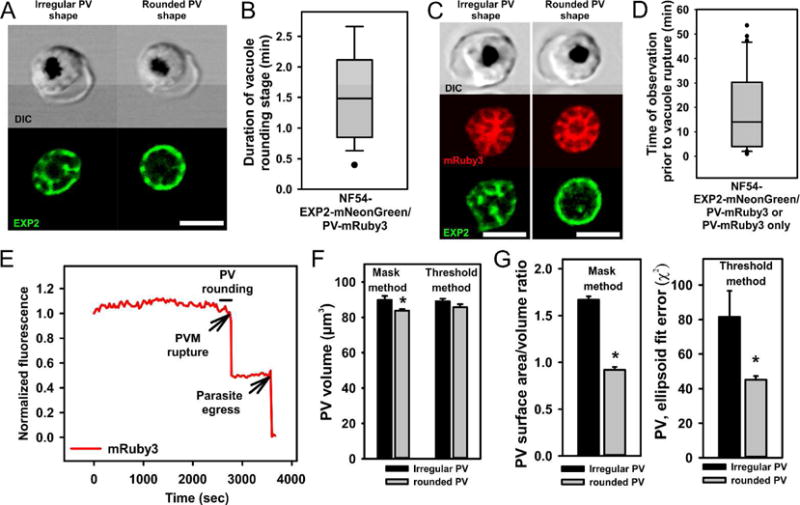 Fig.2