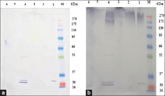 Figure-5