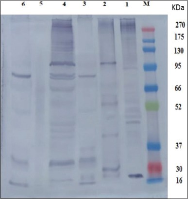 Figure-4