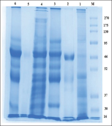 Figure-3