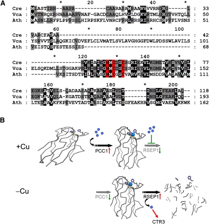 Figure 9.