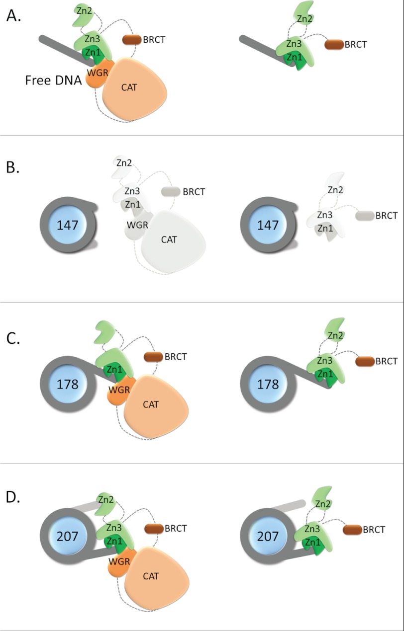 FIGURE 7.