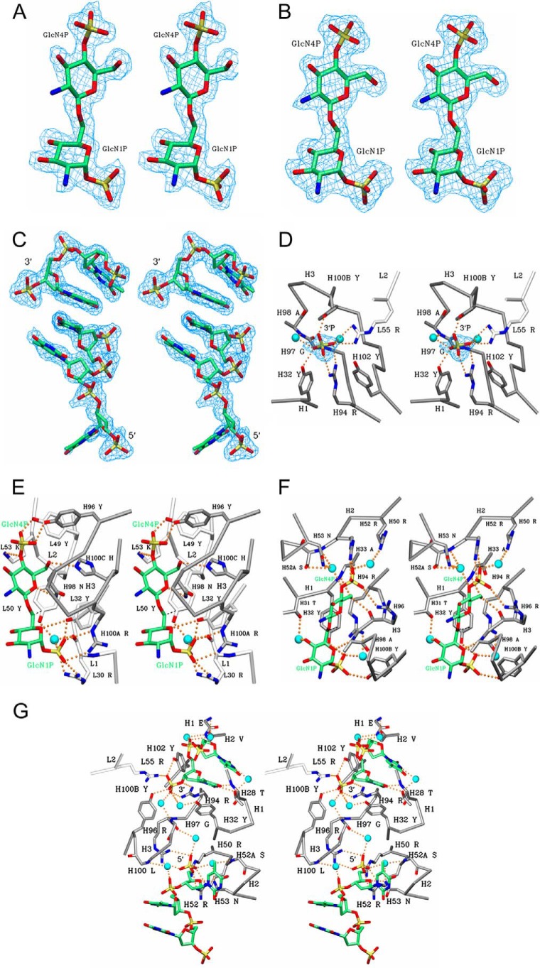 FIGURE 2.