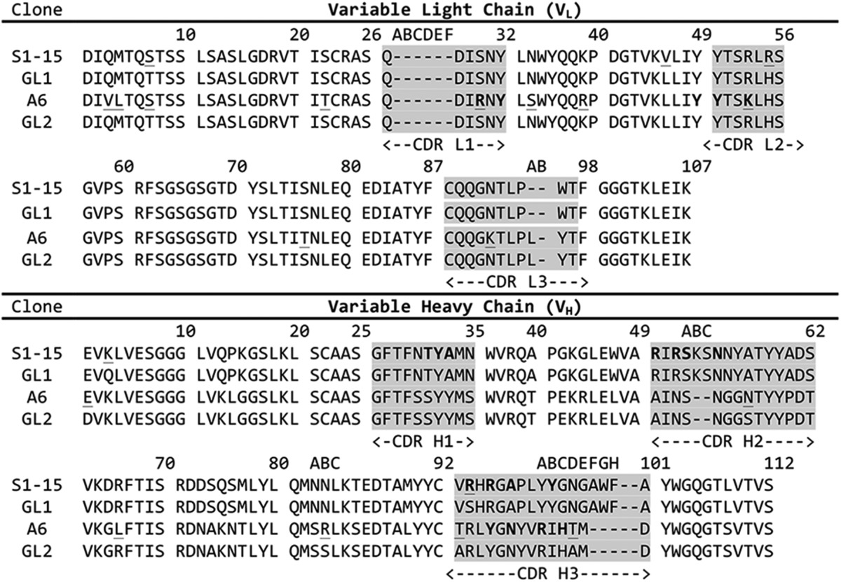 graphic file with name zbc035152270t002.jpg