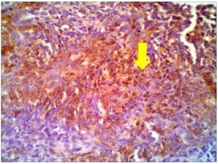 Fig. 3
