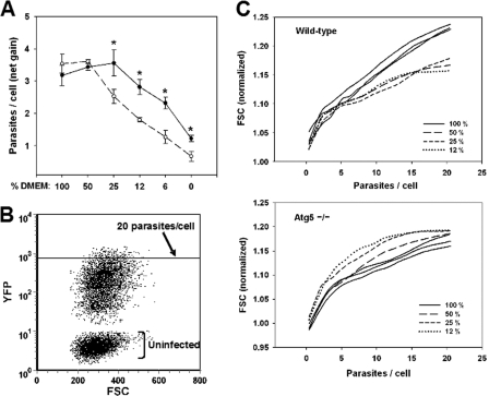 FIGURE 6.