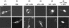 FIG. 4.
