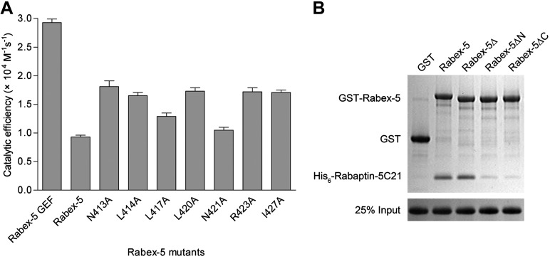 Figure 4—figure supplement 1.