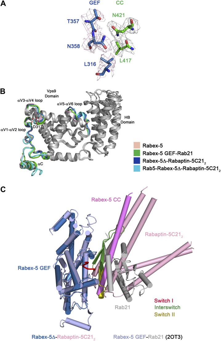 Figure 1—figure supplement 3.