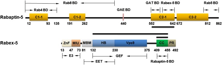 Figure 1—figure supplement 1.