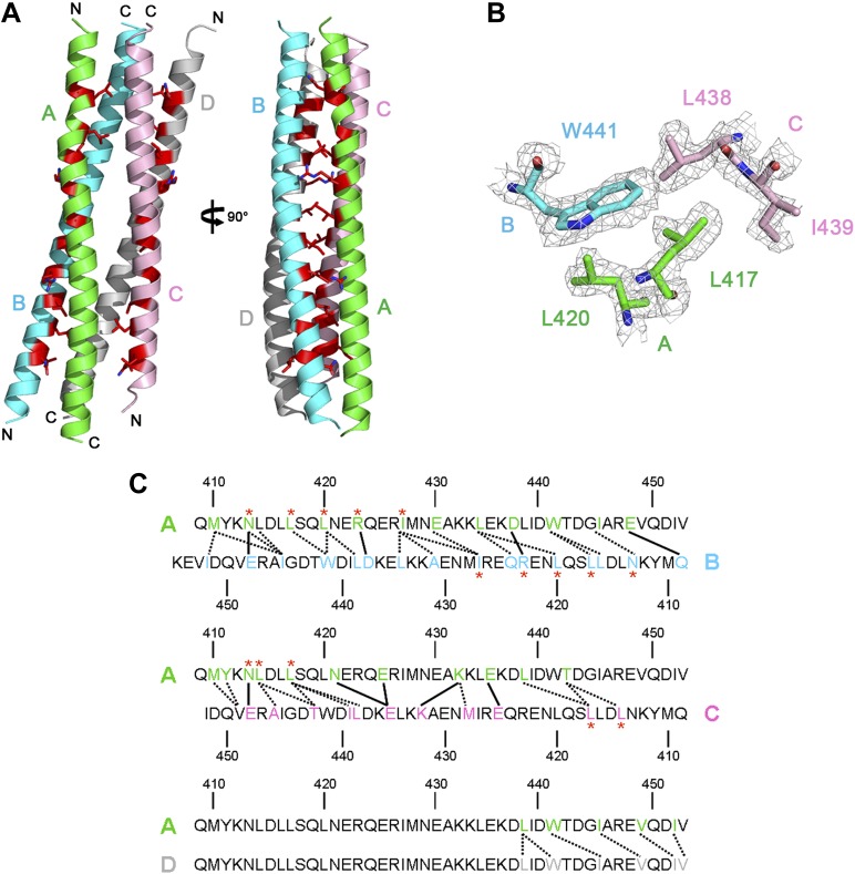 Figure 1—figure supplement 4.