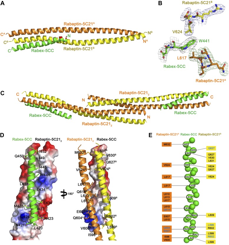 Figure 1—figure supplement 5.