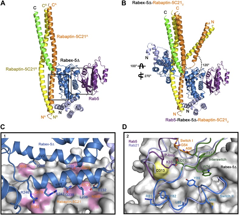 Figure 2.