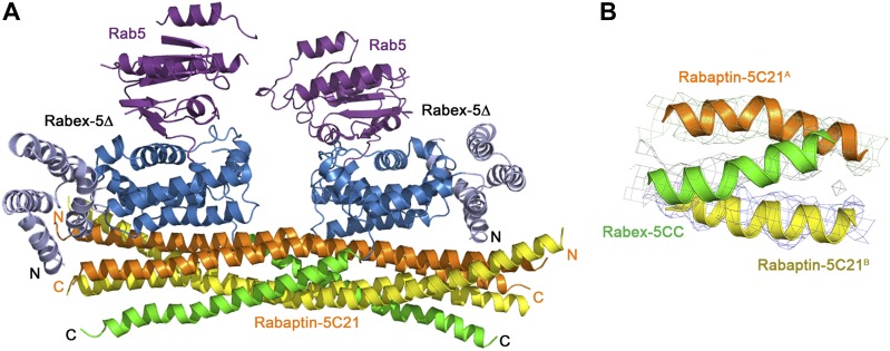 Figure 2—figure supplement 1.