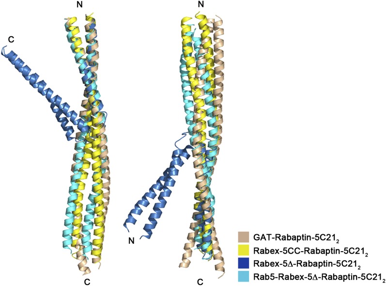 Figure 2—figure supplement 2.