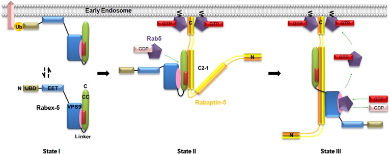 Figure 5.