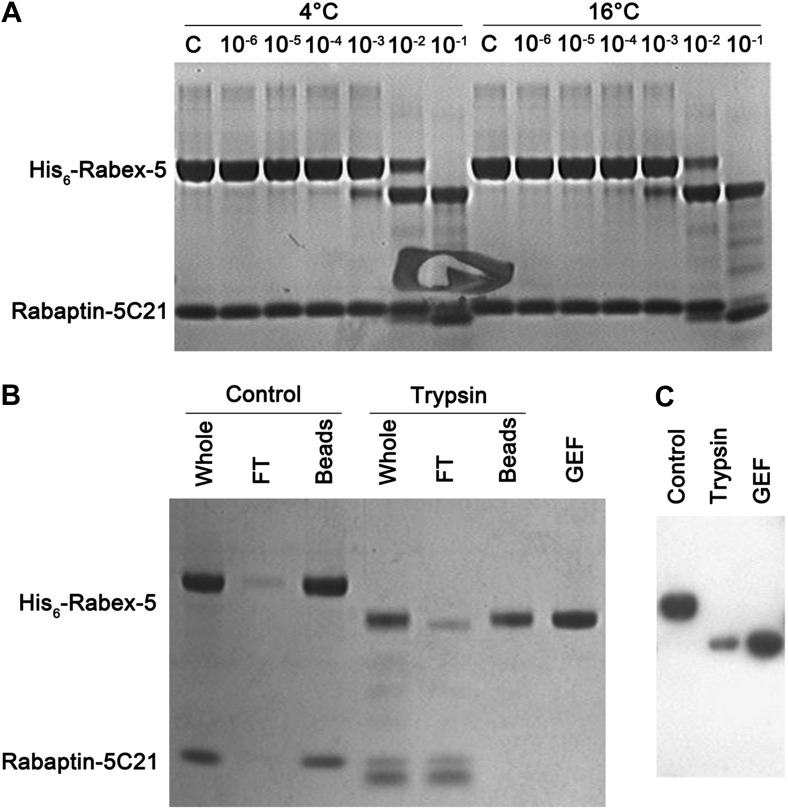 Figure 1—figure supplement 2.