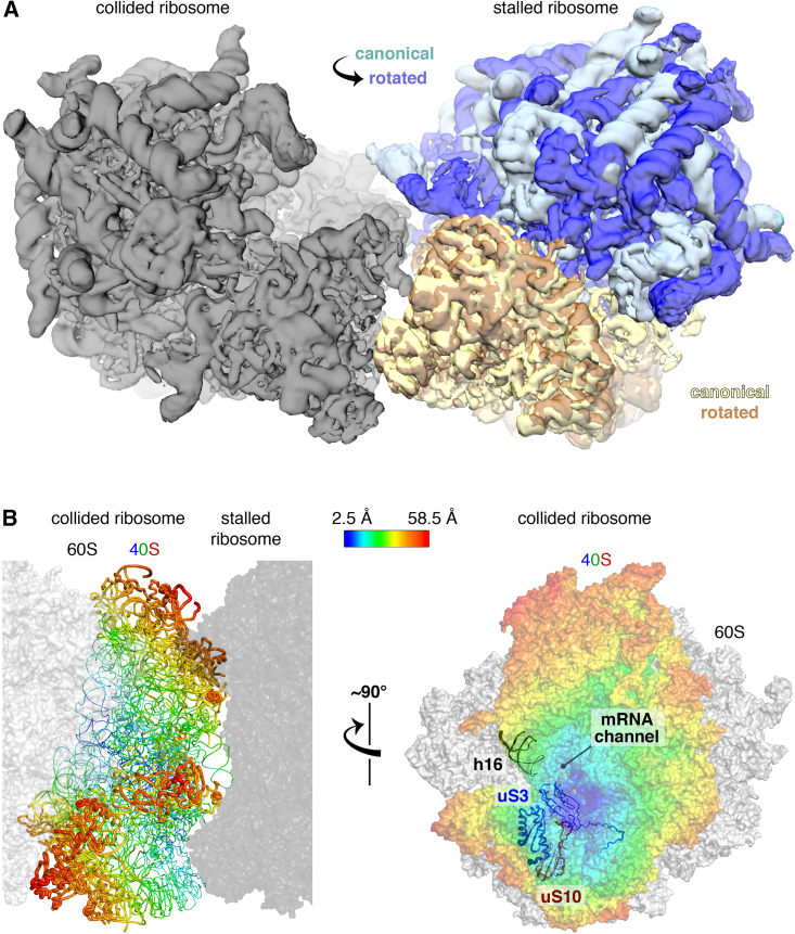 Figure 4